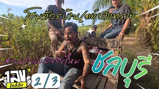 Download Lagu ชลบุรี 2/3 - รายการ ตีท้ายทอย บ้านคุณเดย์ บางทราย MP3