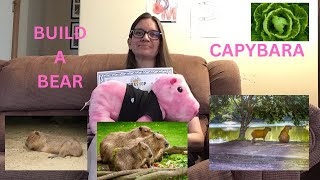 BUILD A BEAR REVIEW - Capybara|@JesstoyBatch