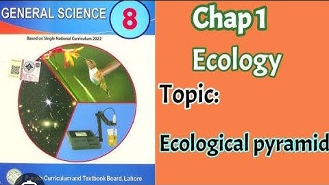 Class 8th Science Chapter 1 Ecology (Ecological Pyramids)