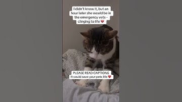 I WISH I knew what was about to happen 💔