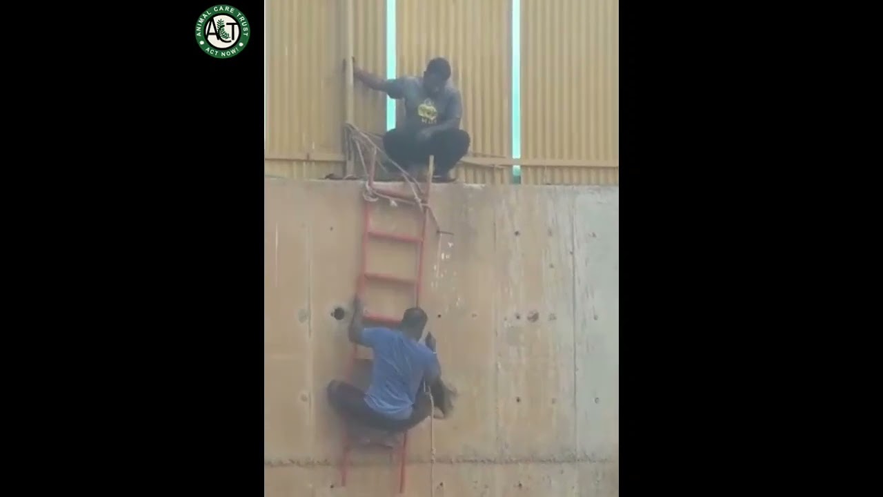 Watch this challenging rescue!