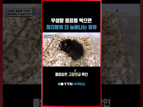 무설탕 음료를 먹으면 <strong>체지방이</strong> 더 늘어나는 이유 #shorts