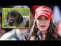 Kristi noem promises to govern the country the same way she murders puppies