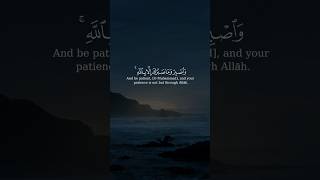 Sheikh Saad al Ghamdi Qur'an recitation with english translation #quran screenshot 4