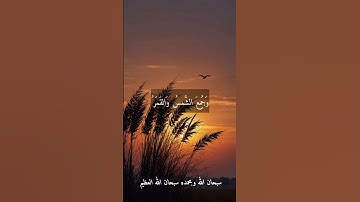 الشيخ محمد عبد الوهاب الطنطاوى --نوادر روعه ممتاز جدا نادر  رحمه الله #تلاوات