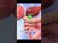 What Happens Inside Your Body After Drinking Carrot Juice 🥕 | 3D Animated Health Short.