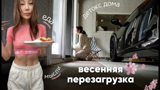 ВЕСНА В ТОКИО | жизнь по полочкам.. Тоши ждет гостей!