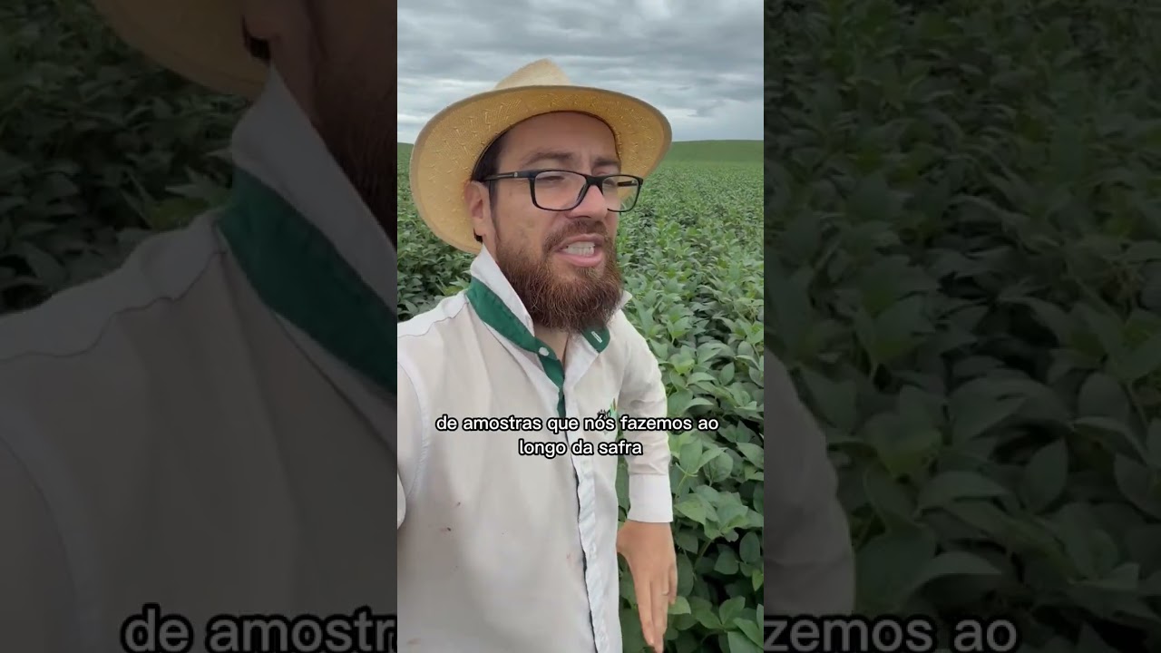 Potássio no enchimento de grão