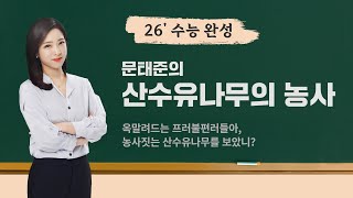 [수능 국어 1등급의 비밀] 문태준 [산수유나무의 농사] | 불편한 세상 속에서도, 묵묵히 농사짓는 마음｜시 감상 표현법 정리