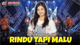 Cantika Davinca - Rindu Tapi Malu | Sagita Djandhut Assololley | Dangdut (Official Music Video)