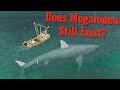 Does Megalodon Still Exist?