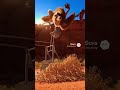 Realistic Coyote Catapult Trap Backfires! Hilarious Entanglement #trapfail #coyote