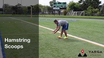 Hamstring Scoops