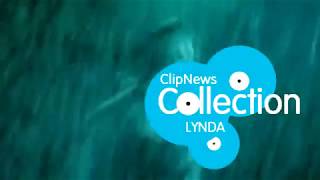 ClipNews Collection | Top 10 Lynda