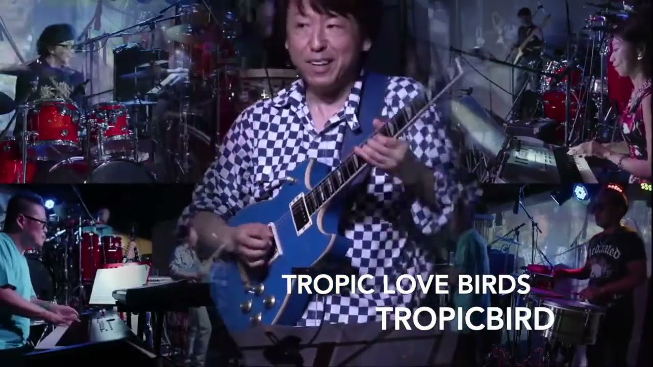 高中正義 Tropic Flogger ギターエフェクター 高中正義 Tropic Flogger