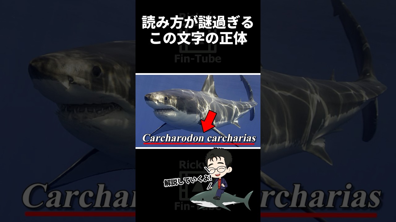 水族館や図鑑で見かける謎の言葉「学名」とは何か? #生き物 #生物 #サメ