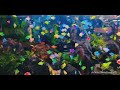 planted Aquarium|Tetra fish|whatsapp status