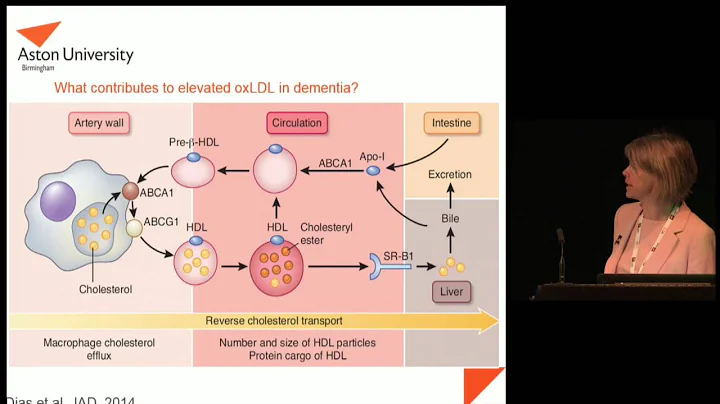 Lecture 11: Professor Helen Griffiths, Oxidative stress, carotenoids and dementia - DayDayNews