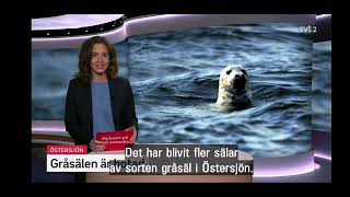 Du kan titta här på Nyheter på lätt svenska fredags 5/4/2024