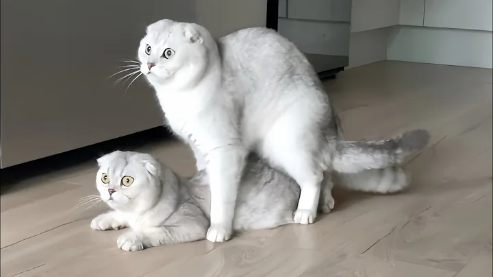 Watch the video about Day 3