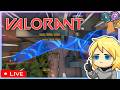 [ VALORANT  ] TEST LIVE BUOI SANG !