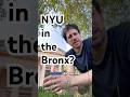 NYU in the Bronx? Mp3 Song