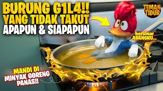 BURUNG PALING DI CARI DI DUNIA!! - ALUR CERITA