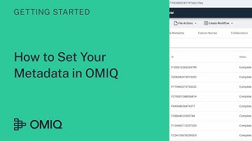How to Set Your Metadata in OMIQ