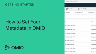 How to Set Your Metadata in OMIQ