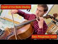 Carol of the bells medley alex prizgintas  cello