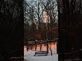 Улетели уточки...домик замерз