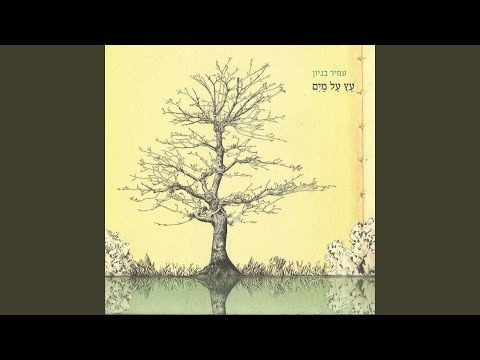 מלך בשדה תודה 