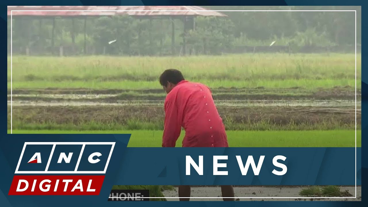 PH agricultural groups to file petition before Supreme Court vs. tariff reduction | ANC