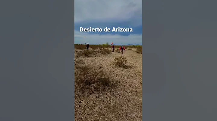 Desaparecidos en el desierto