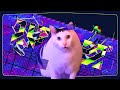 【音MAD】は？グ/猫ミーム