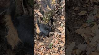 She Always Finds A Way In And A Way Out.