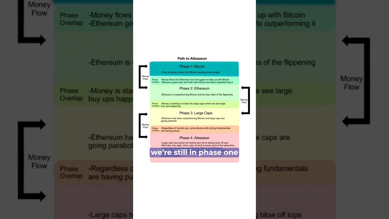 Why Is BITCOIN Rallying Alone?