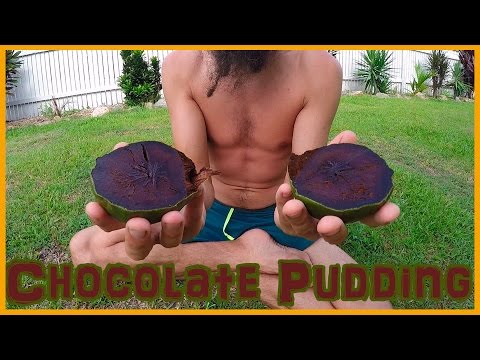 THE BLACK SAPOTE AKA CHOCOLATE PUDDING FRUIT | KNOW YOUR FRUITS