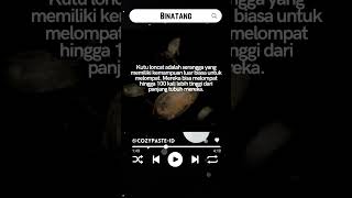Fakta Kutu Loncat #shorts #binatang Fakta Kutu Loncat #shorts #binatang