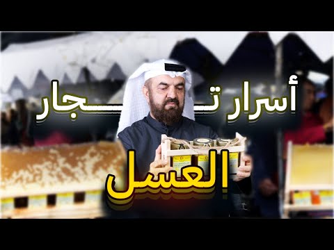 أسرار لم يخبرك بها تجار العسل مع الخبير محمد قاسم المجددي