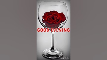 Thumbnail of Good EVENING video🌹 Good EVENING status