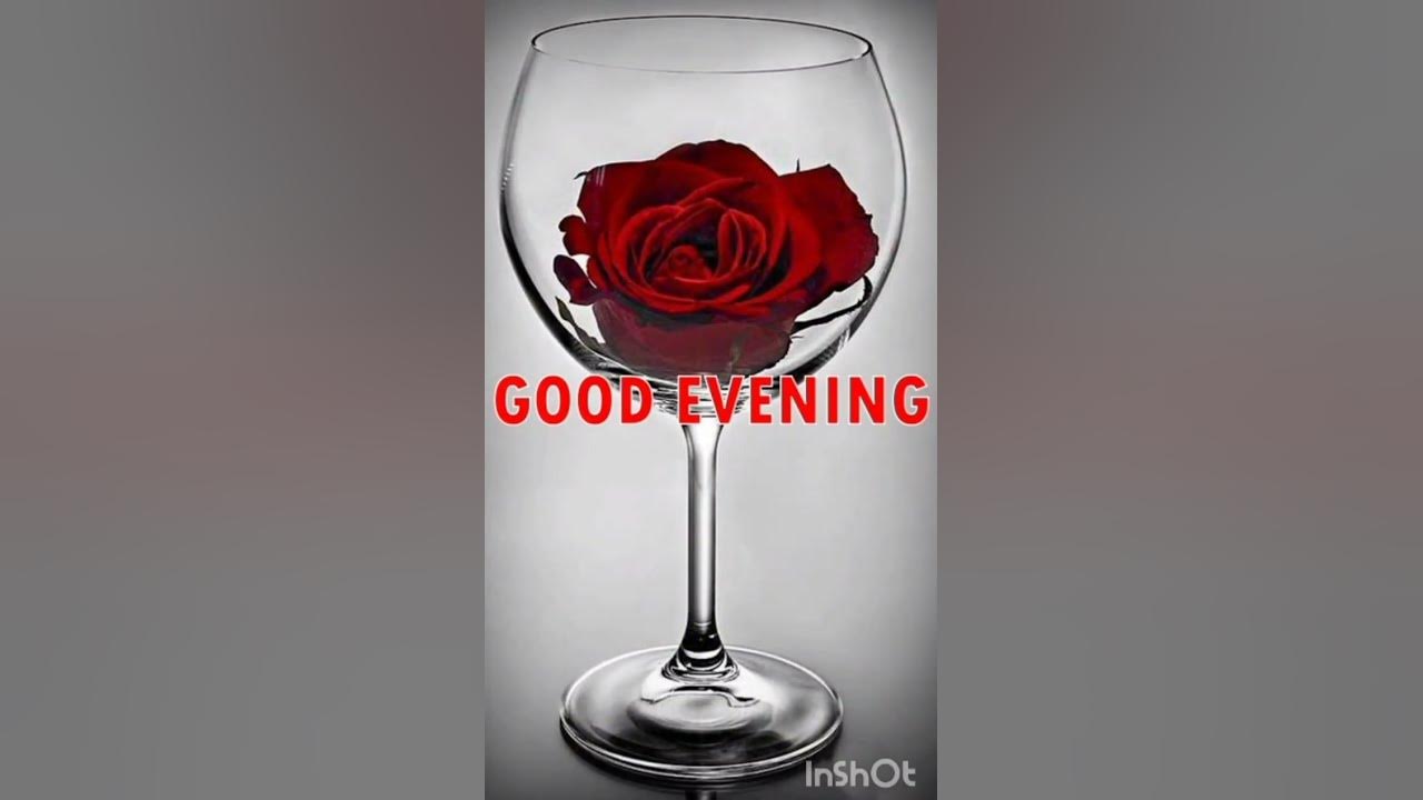 Good EVENING video🌹 Good EVENING status