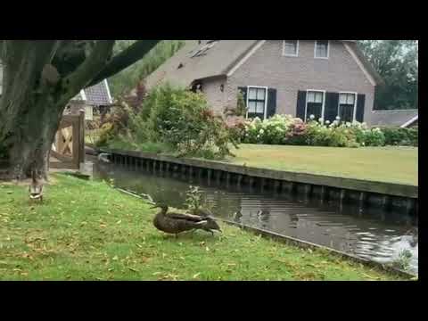 سورة الرحمن للقارئ بلال دربالي مع المناظر الطبيعية