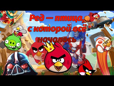 Видео: Всё о Реде: появления, характер, способности —Факты Angry Birds