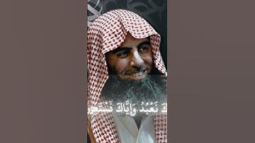 سورة فاتحة محمد لحيدان #birds #اكسبلور