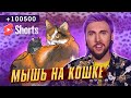 МЫШЬ НА КОШКЕ 🐁🐈 / +100500 #SHORTS