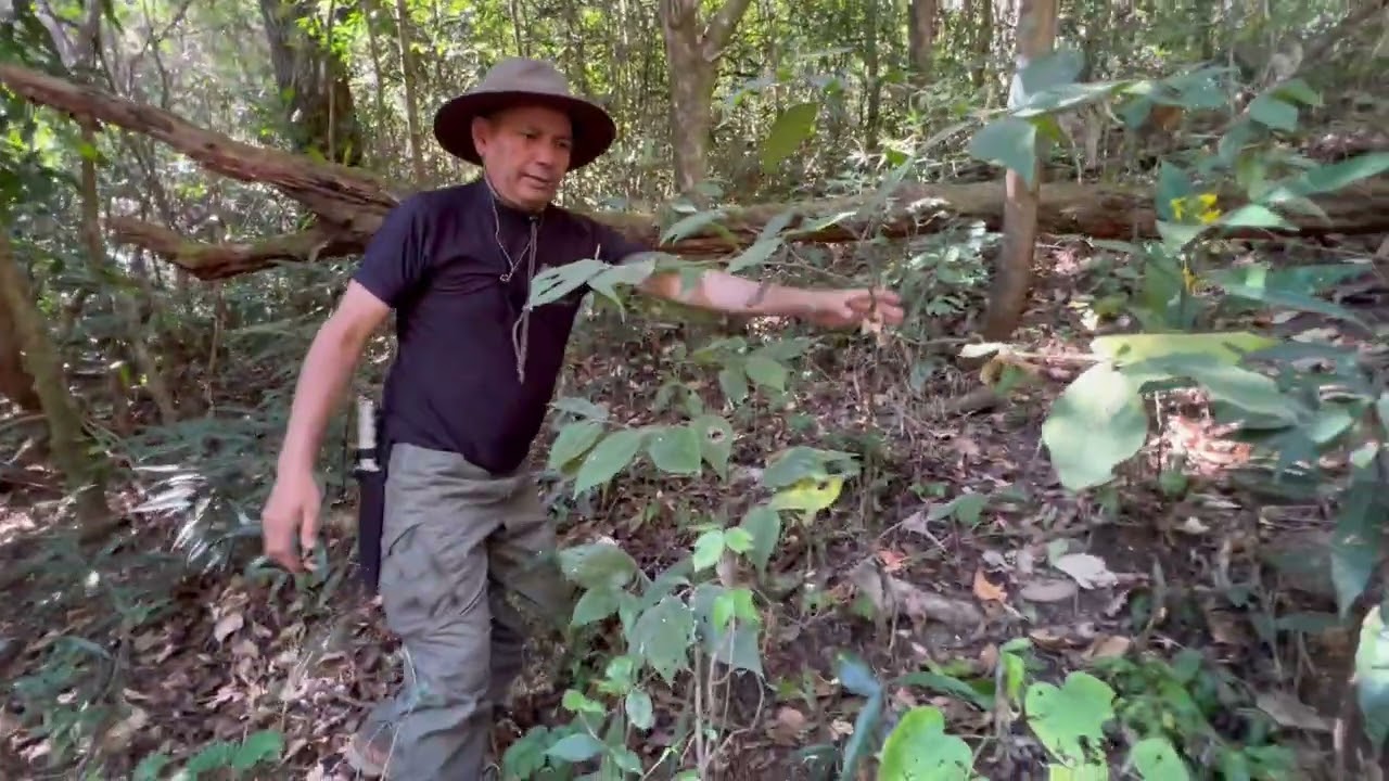 Atlacatl Corrio de miedo 4Ta Compañía Del Batallón  Cerro  Guazapa #Guazapa_ # Guerra_ #El Salvador_