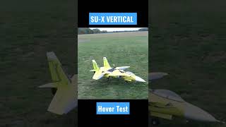 SU-X VERTICAL VTOL | Hover Test