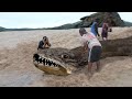 11 Most MYSTERIOUS Sea Monster Carcasses Recently Discovered!