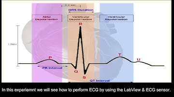 ECG measurment by USING NI Elvis II and LabView (UET Lahore)